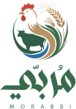 Morabbi